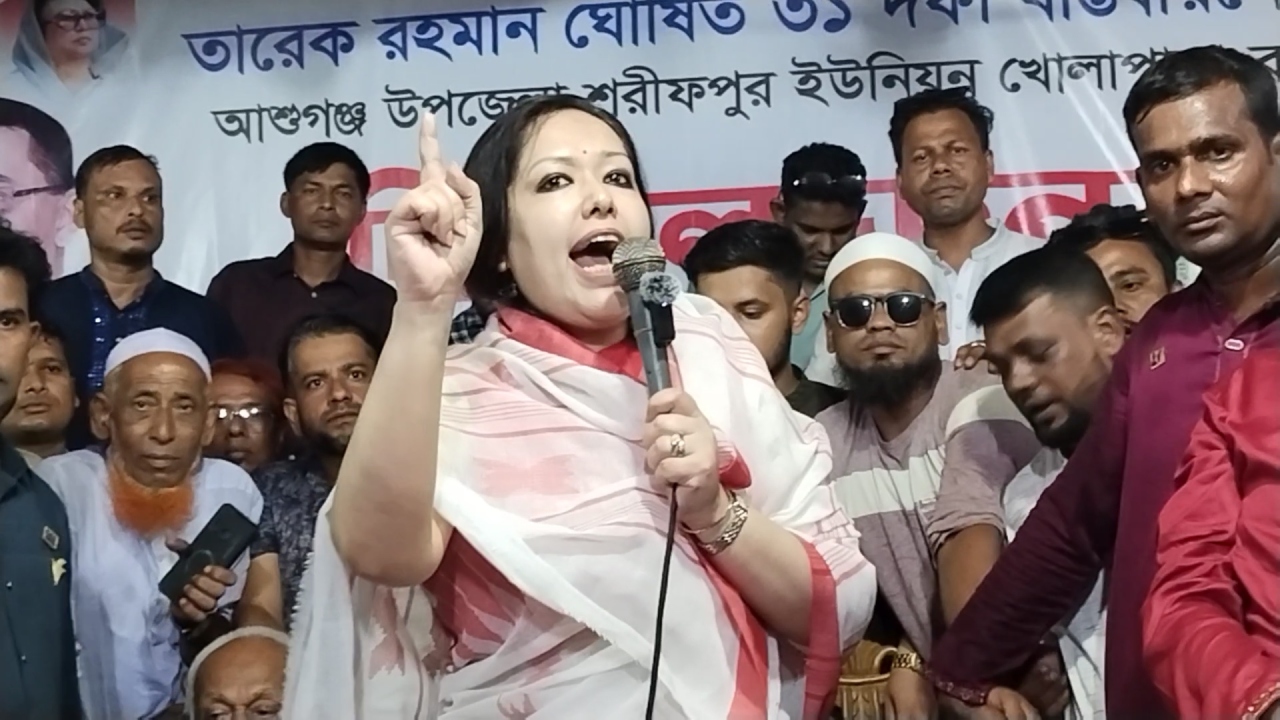 আ'লীগের বিচার বিএনপি যতটা চায়, ততটা কেউ চায় না: রুমিন ফারহানা